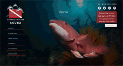 Desktop Screenshot of cisdivers.com