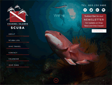 Tablet Screenshot of cisdivers.com